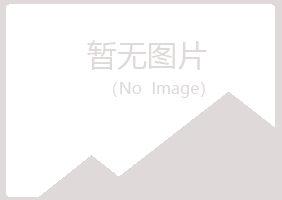 独山县岑迷培训有限公司